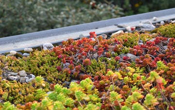 the cost of Gulladuff green roof installation
