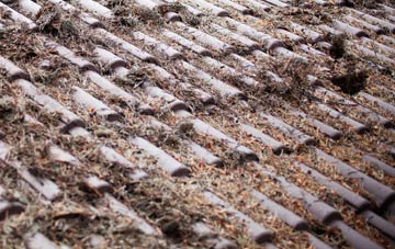 Gulladuff roof cleaning companies