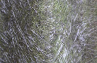 Gulladuff fibreglass roof work